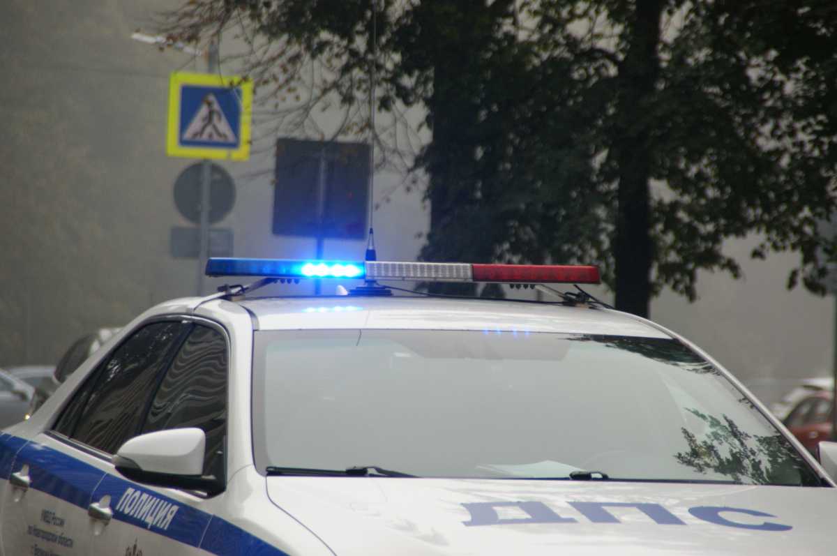 Житель Великого Новгорода полтора года ездил с поддельными правами Житель Великого Новгорода полтора года ездил с поддельными правами