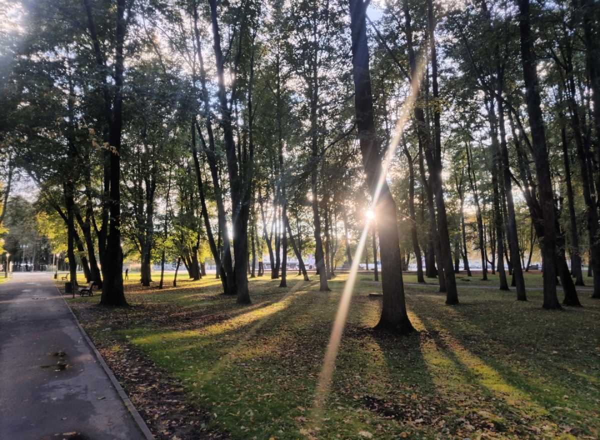 В Новгородской области усилится ветер и пройдут дожди В Новгородской области усилится ветер и пройдут дожди