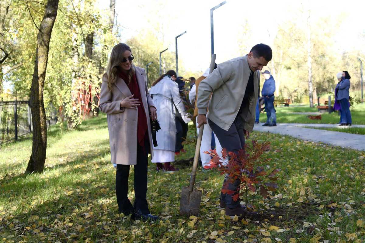 Будущие родители заложили дубовую аллею в Великом Новгороде Будущие родители заложили дубовую аллею в Великом Новгороде