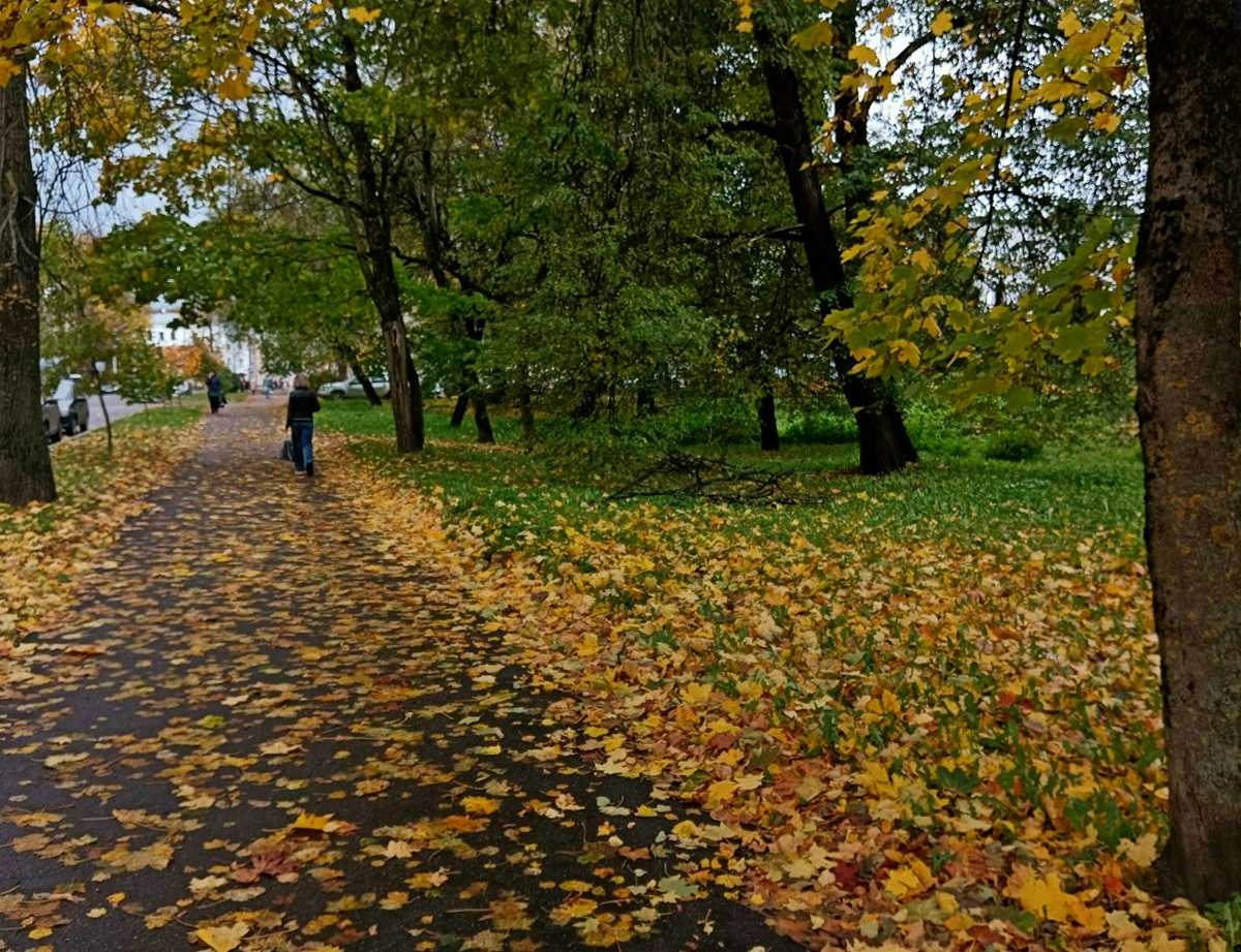 Циклон с Балтийского моря принесёт в Новгородскую область дожди Циклон с Балтийского моря принесёт в Новгородскую область дожди