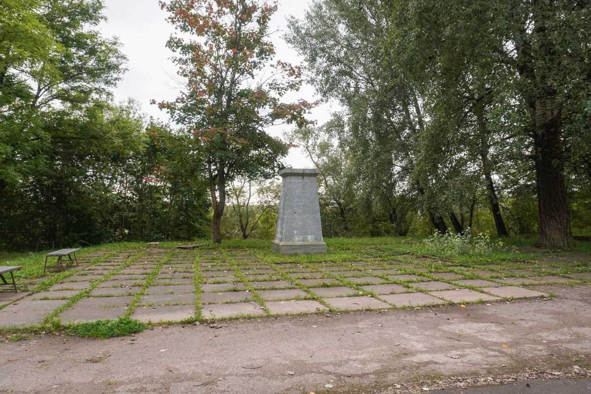 Для парка в Шимске подготовят концепцию благоустройства Для парка в Шимске подготовят концепцию благоустройства