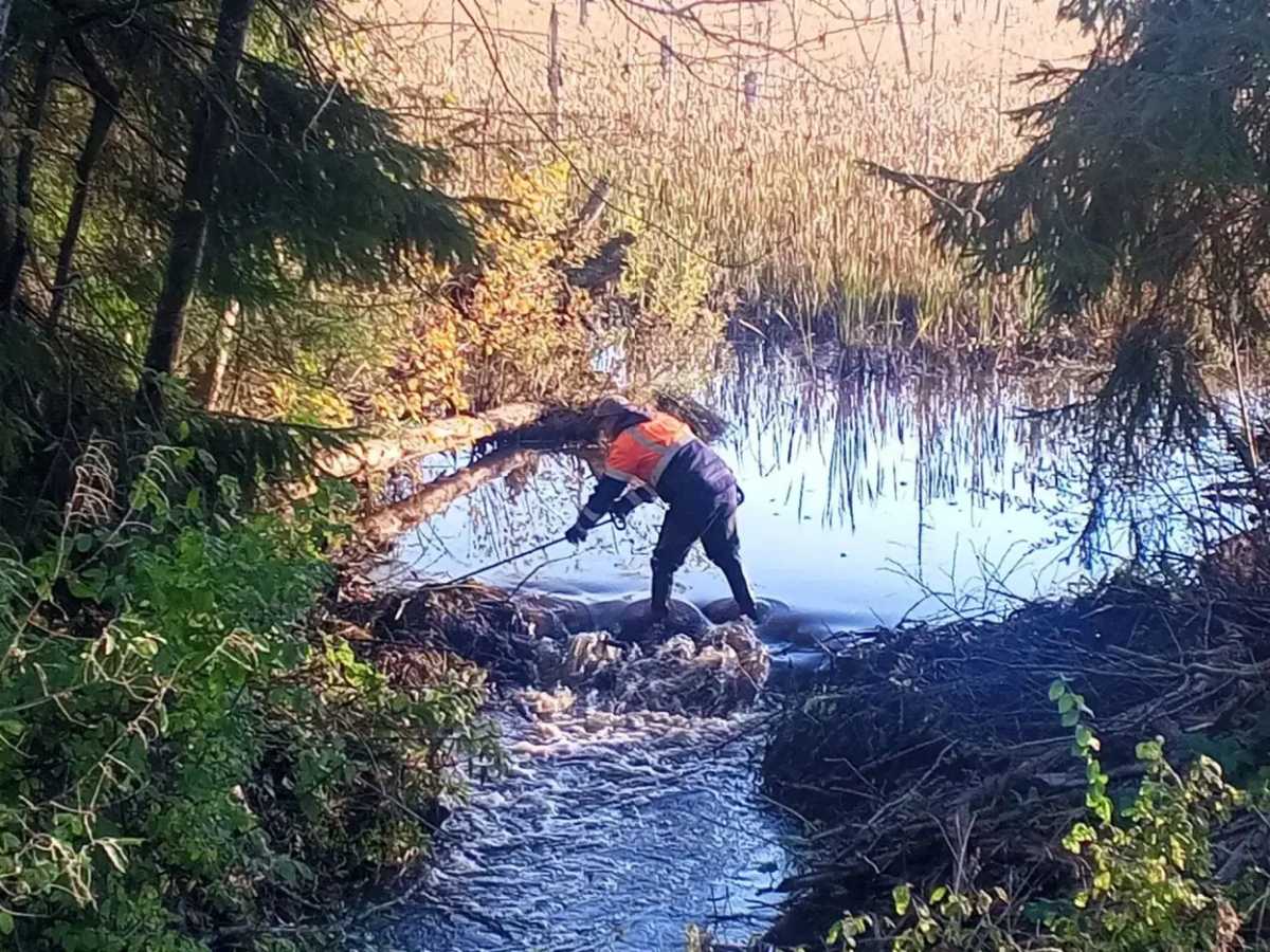 На дорогах Новгородской области очищают водопропускные трубы На дорогах Новгородской области очищают водопропускные трубы