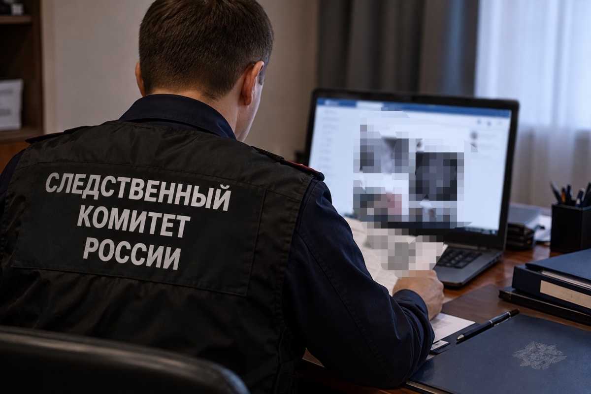 Отца и сына из Чудовского округа обвиняют в демонстрации экстремистской символики в соцсети Отца и сына из Чудовского округа обвиняют в демонстрации экстремистской символики в соцсети