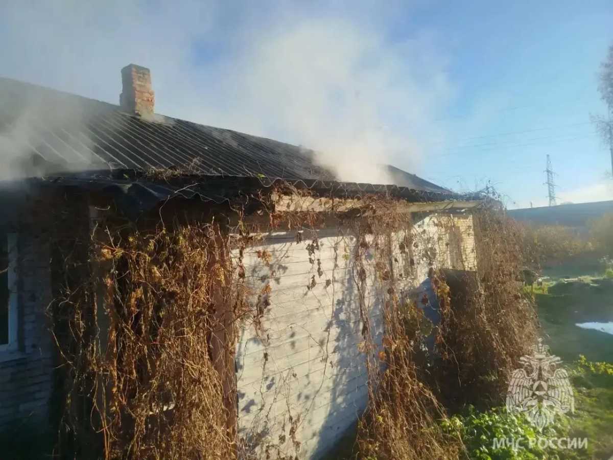 На пожаре в Сольцах погибла женщина На пожаре в Сольцах погибла женщина