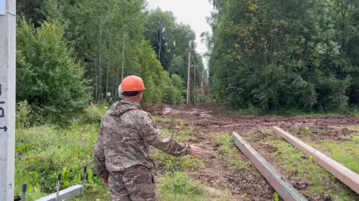 Более 77 километров ЛЭП модернизировали в Новгородской области Более 77 километров ЛЭП модернизировали в Новгородской области