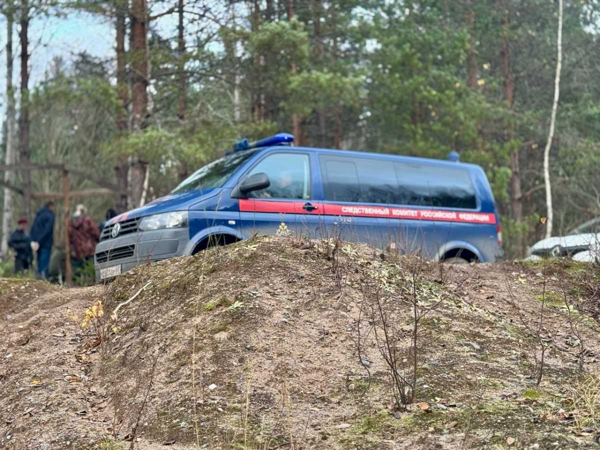 Женщина застрелила из карабина мужчину в песчаном карьере под Малой Вишерой Женщина застрелила из карабина мужчину в песчаном карьере под Малой Вишерой