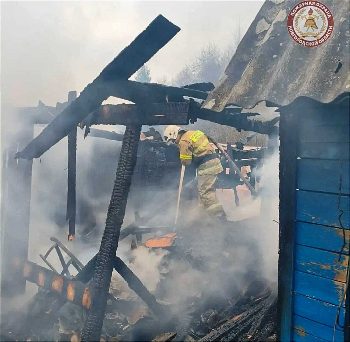 На пожаре в Парфине спасли домашнюю птицу На пожаре в Парфине спасли домашнюю птицу
