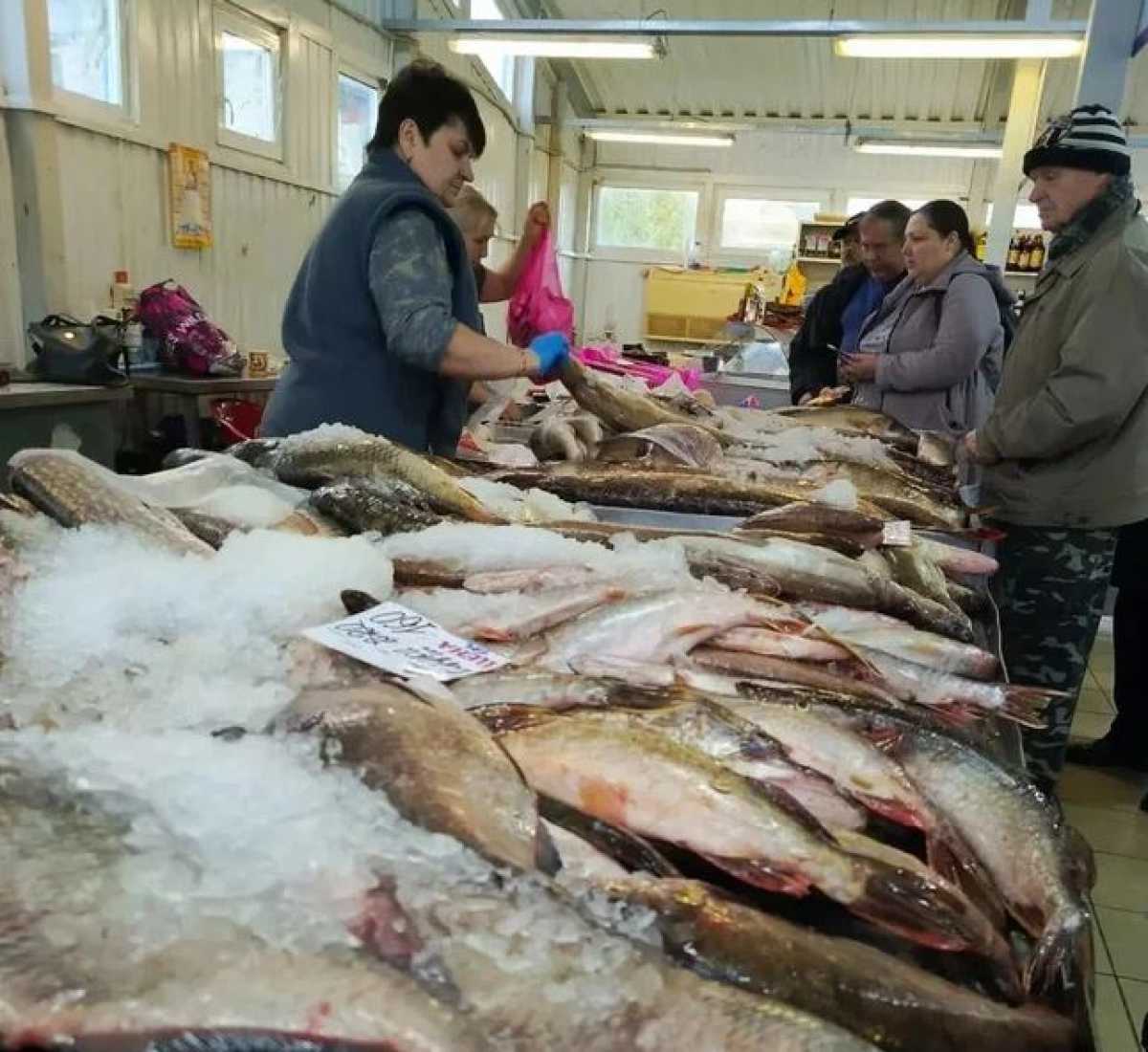 В Великом Новгороде и Старой Руссе пройдёт последняя в сезоне акция «Доступная рыба» В Великом Новгороде и Старой Руссе пройдёт последняя в сезоне акция «Доступная рыба»